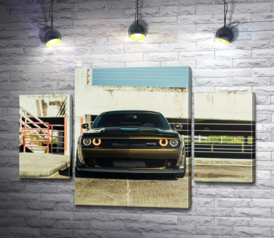 Пристальный взгляд Dodge Challenger