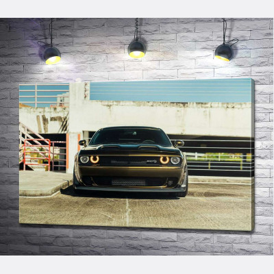 Пристальный взгляд Dodge Challenger