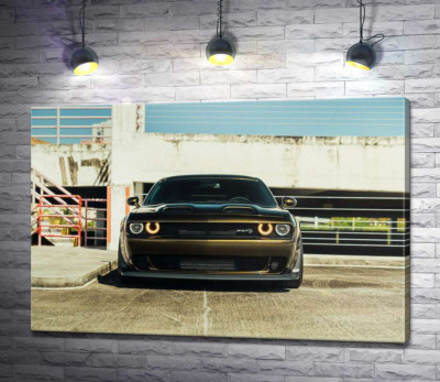 Пристальный взгляд Dodge Challenger