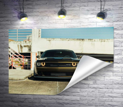 Пристальный взгляд Dodge Challenger