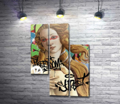 Народження Венери Freedom Street