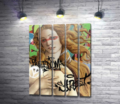 Рождение Венеры Freedom Street