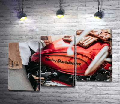 Модульна картина "Яскрава емблема на мотоциклі Harley-Davidson зблизька"
