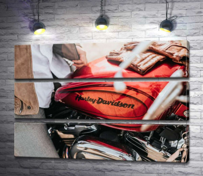 Модульная картина "Яркая эмблема на мотоцикле Harley-Davidson вблизи"