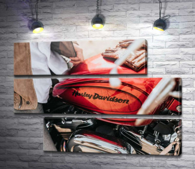 Модульна картина "Яскрава емблема на мотоциклі Harley-Davidson зблизька"