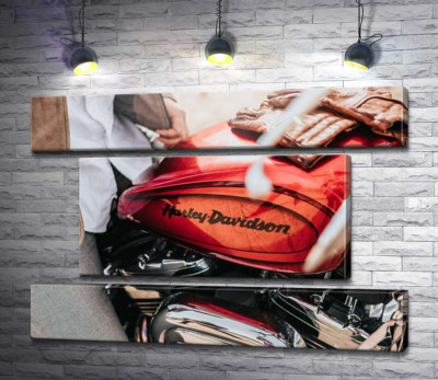 Яркая эмблема на мотоцикле Harley-Davidson вблизи