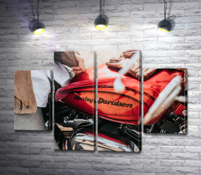 Модульна картина "Яскрава емблема на мотоциклі Harley-Davidson зблизька"