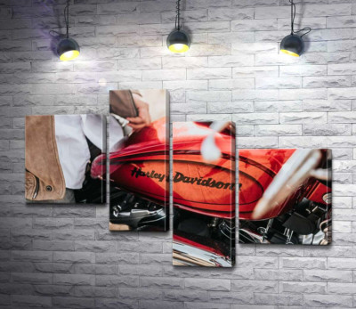 Модульная картина "Яркая эмблема на мотоцикле Harley-Davidson вблизи"