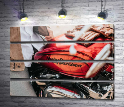 Модульна картина "Яскрава емблема на мотоциклі Harley-Davidson зблизька"