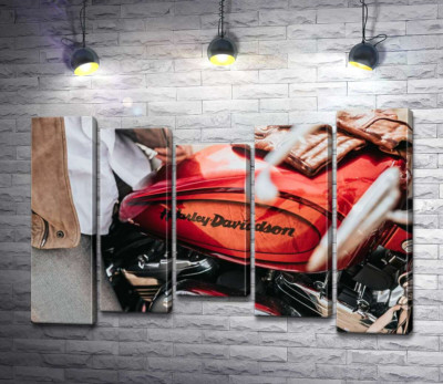 Модульная картина "Яркая эмблема на мотоцикле Harley-Davidson вблизи"