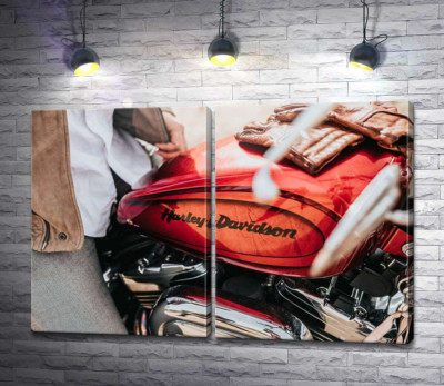 Модульная картина "Яркая эмблема на мотоцикле Harley-Davidson вблизи"