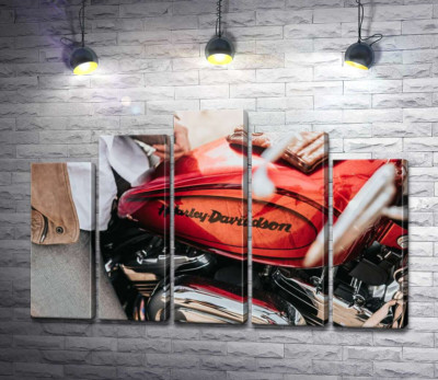 Яркая эмблема на мотоцикле Harley-Davidson вблизи