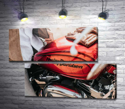 Модульна картина "Яскрава емблема на мотоциклі Harley-Davidson зблизька"