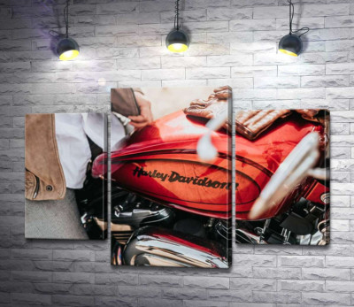 Модульная картина "Яркая эмблема на мотоцикле Harley-Davidson вблизи"