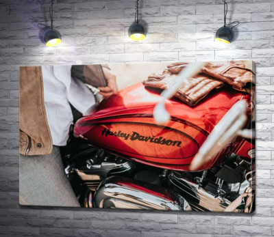 Яскрава емблема на мотоциклі Harley-Davidson зблизька