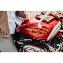 Яркая эмблема на мотоцикле Harley-Davidson вблизи