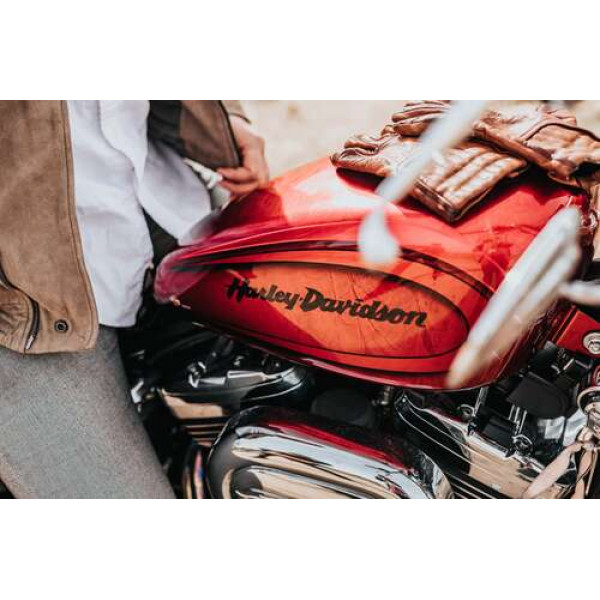 Яскрава емблема на мотоциклі Harley-Davidson зблизька