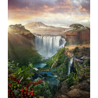 Водопад в райском уголке Танзании