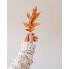 Осенний лист с надписью "Hello, fall" в руке