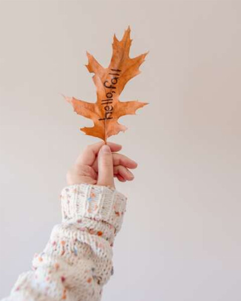 Осенний лист с надписью "Hello, fall" в руке