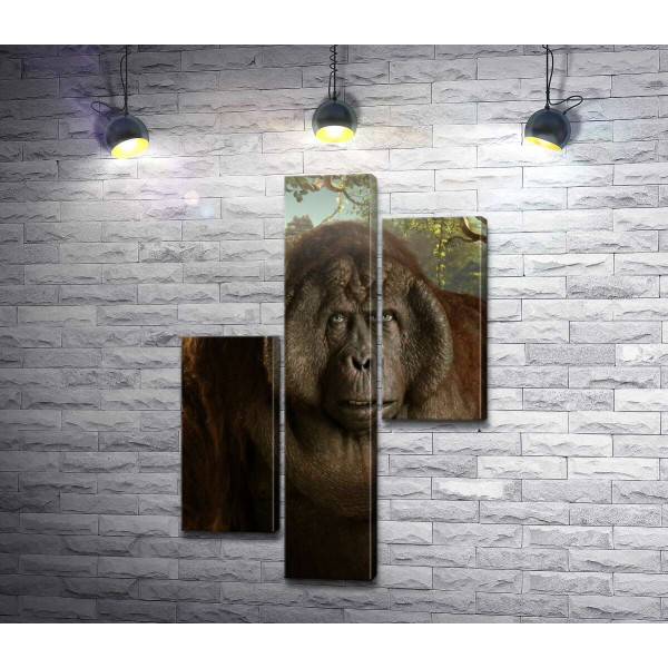 Орангутан Король Луи из Книги джунглей