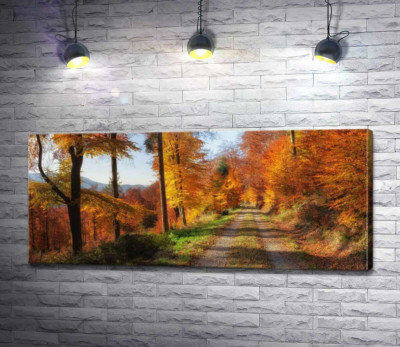 Сільська дорога через Осінній ліс