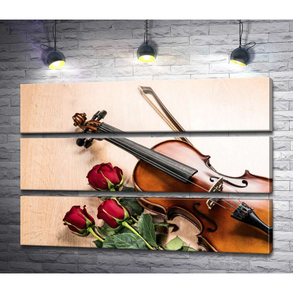 Элегантная скрипка и красные розы