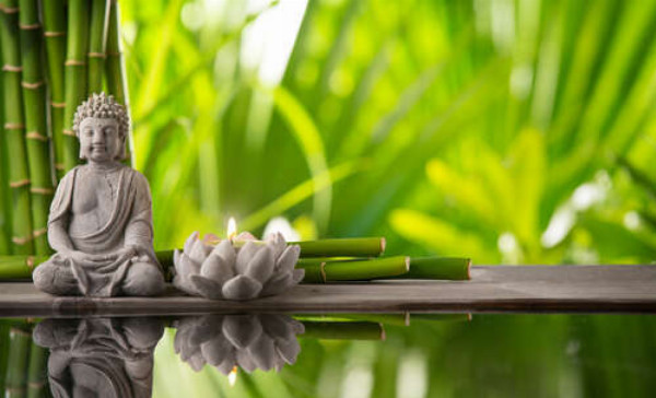 Медитация Будды в бамбуковом саду