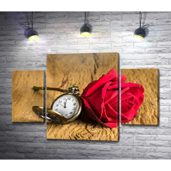 Карманные часы и красная роза