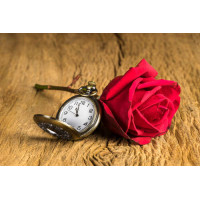 Карманные часы и красная роза