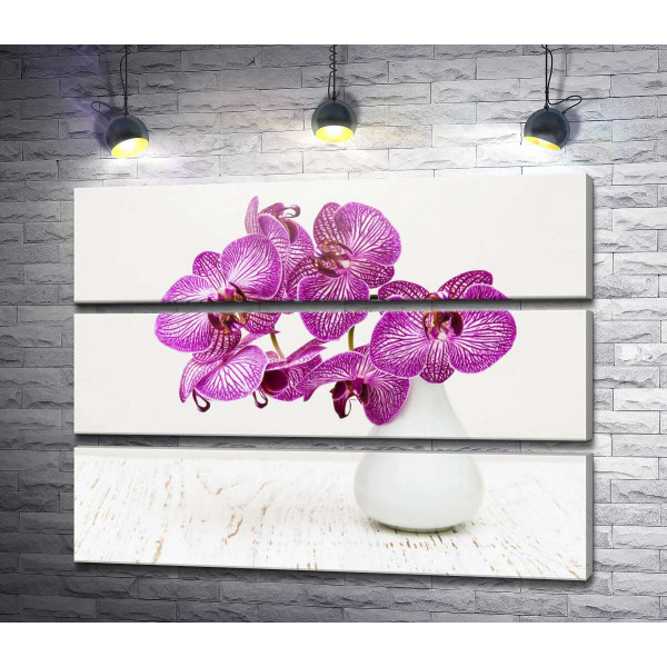 Фиолетовые цветы орхидеи в вазе