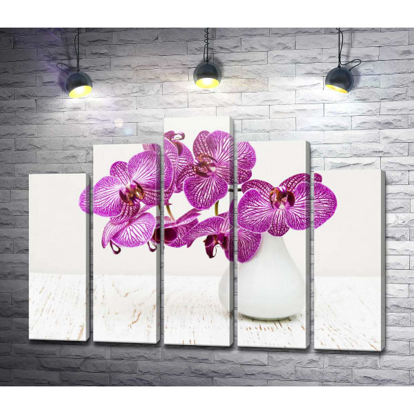 Фіолетові квіти орхідеї у вазі