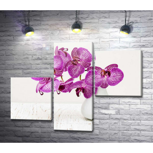 Фиолетовые цветы орхидеи в вазе