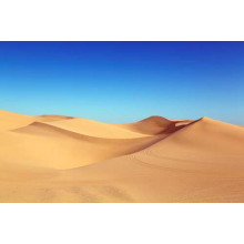 Песчаное море пустыни