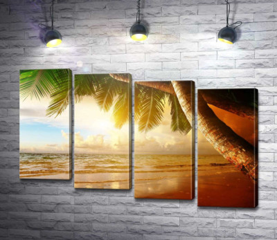 Тропический пляж в золотых лучах солнца