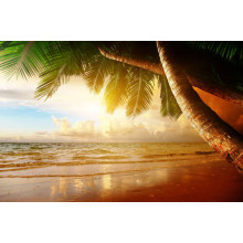 Тропический пляж в золотых лучах солнца