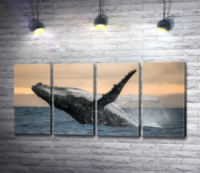 Модульна картина "Дивовижний горбатий кит"