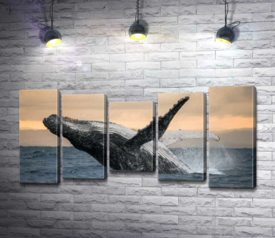 Модульна картина "Дивовижний горбатий кит"