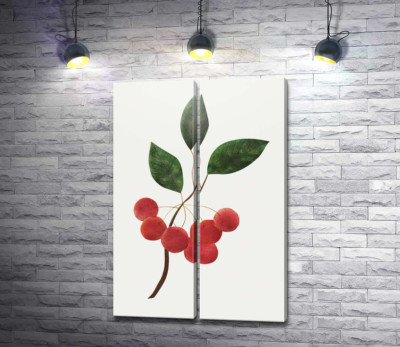 Модульная картина "Красные ягоды вишни на ветке"