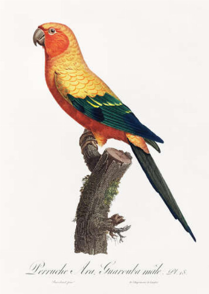 Красивый желто-зеленый попугай