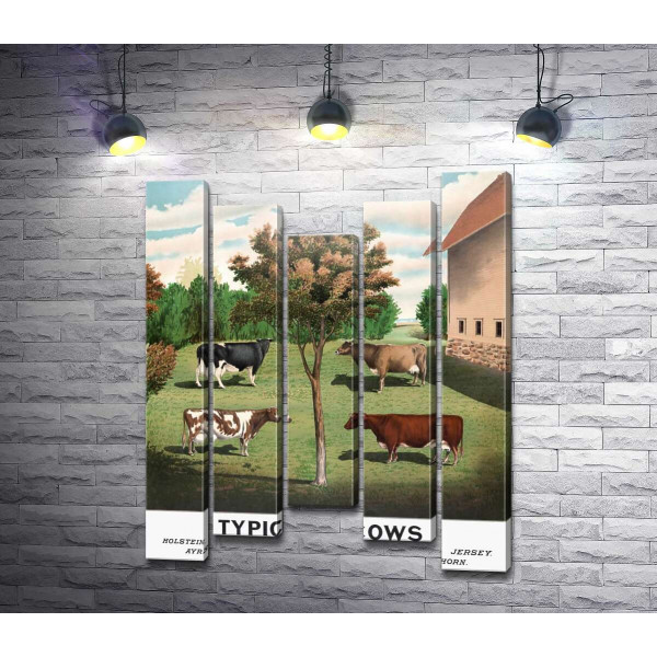 Вінтажний плакат сільського двору з коровами