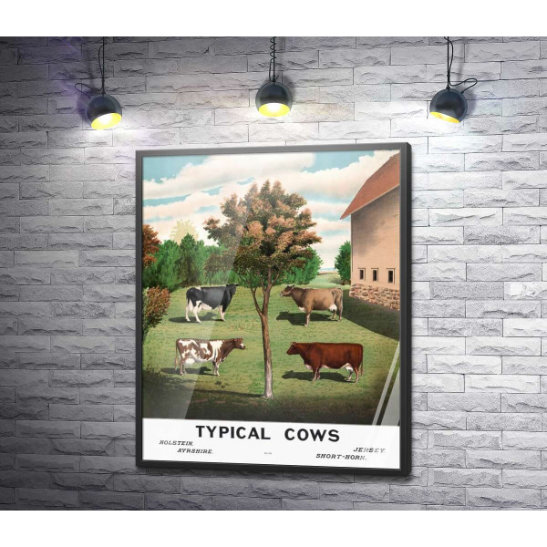 Винтажный плакат сельского двора с коровами