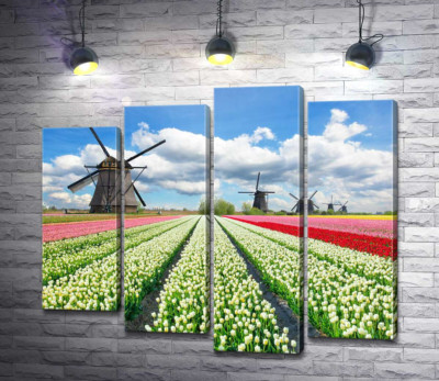Модульная картина "Пестрые поля тюльпанов Голландии"