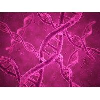 Розовые спирали молекулы ДНК