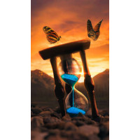Метелики на пісочному годиннику в променях заходу сонця