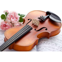Ніжні троянди і витончена скрипка