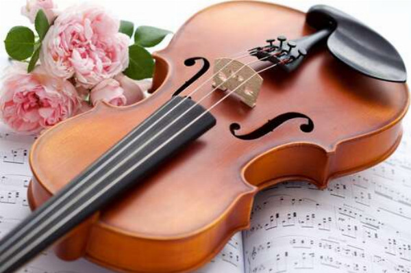 Нежные розы и изящная скрипка