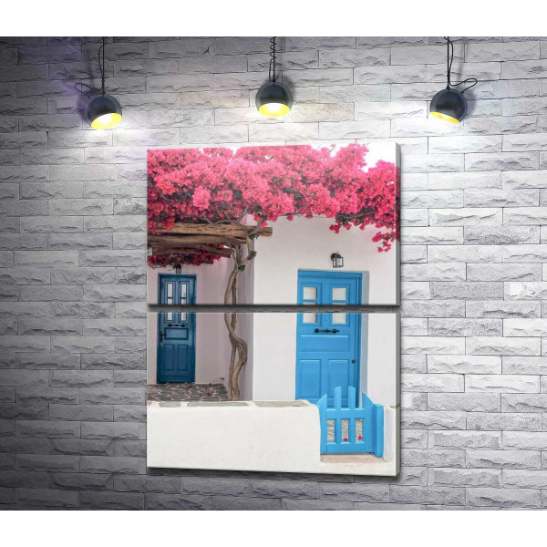Блакитні двері білосніжного будинку під квітучою ліаною