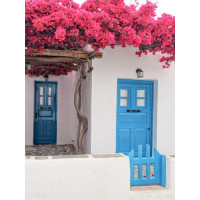 Голубые двери белоснежного дома под цветущей лианой