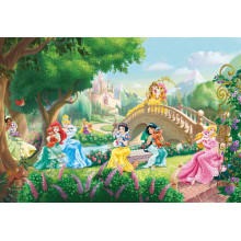 Сказочные принцессы Диснея с домашними животными